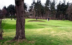 St Andrews Ladybank